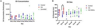 Temporal extracellular vesicle protein changes following intraarticular treatment with integrin α10β1-selected mesenchymal stem cells in equine osteoarthritis